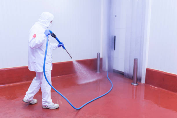 Best Patio and Deck Pressure Washing  in Vian, OK